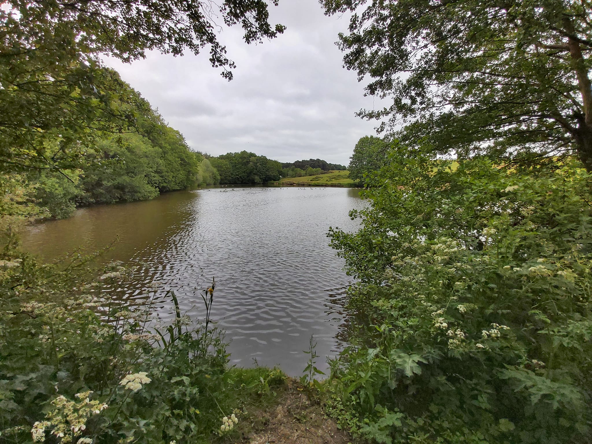 Hopton pools